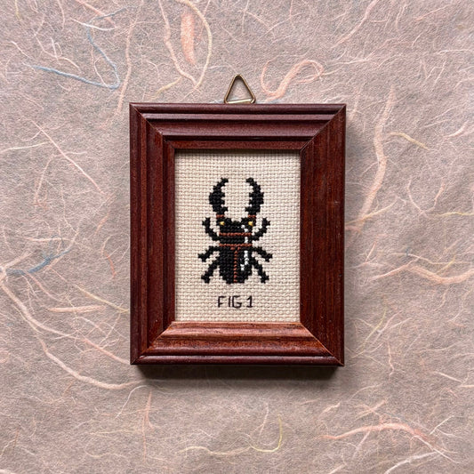CROSS-STITCH | Mini Framed Cross Stitch - Stag Beetle - Pulp & Thread