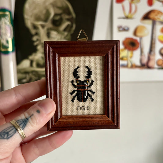CROSS-STITCH | Mini Framed Cross Stitch - Stag Beetle