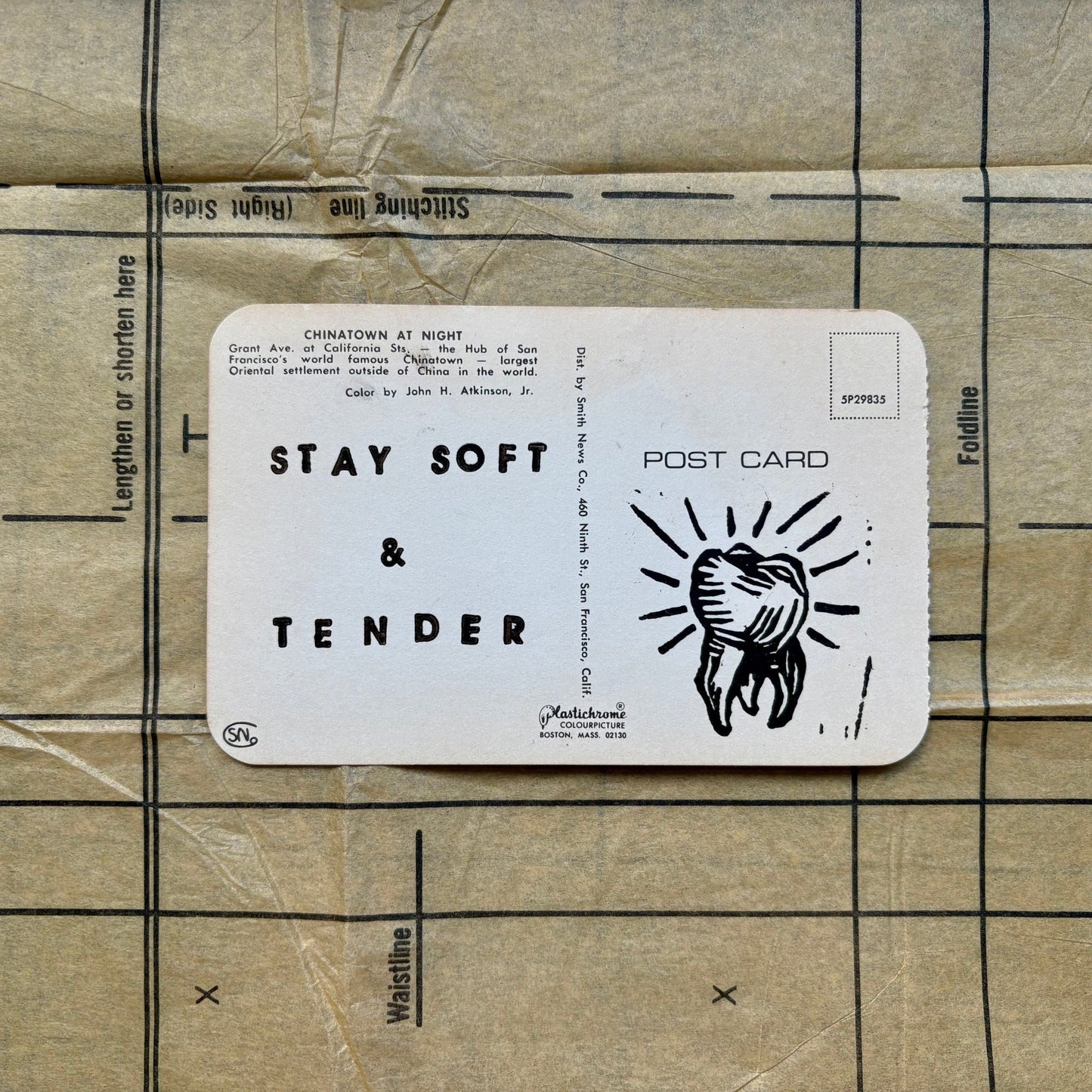 VINTAGE POSTCARD LINO PRINT | Soft & Tender - Pulp & Thread
