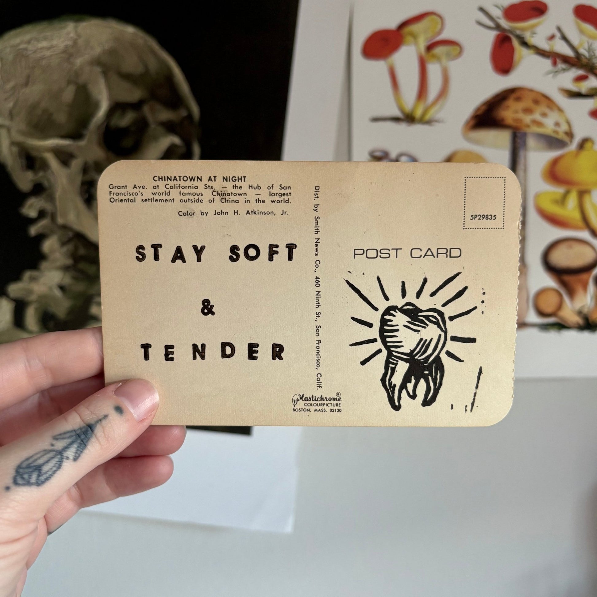 VINTAGE POSTCARD LINO PRINT | Soft & Tender - Pulp & Thread